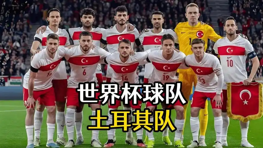 世界杯D组暗藏杀机：土耳其新黄金一代卷土重来